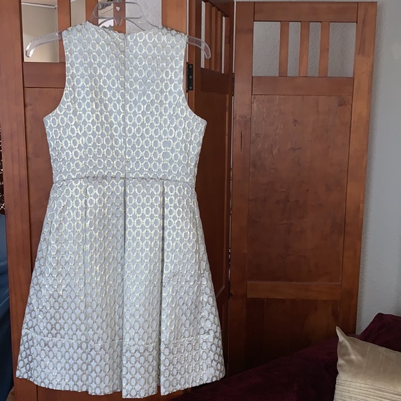 🚨SOLD ELSEWHERE!🚨COPY - Beautiful Metallic Thread Dress With Pink Lining - Picture 2 of 7